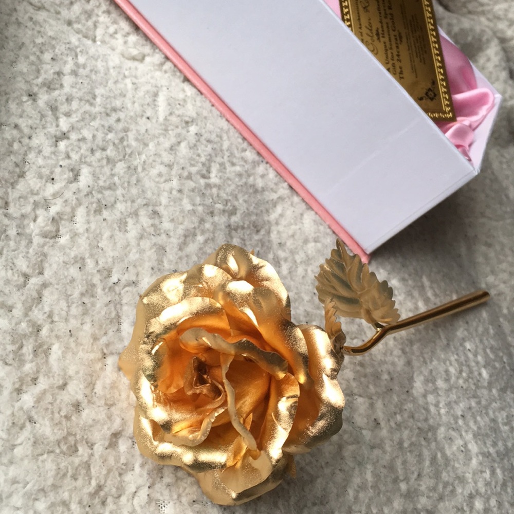 24K gold rose